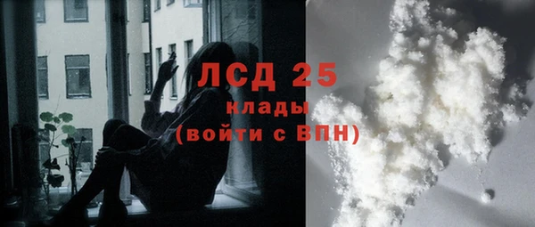 спиды Волосово