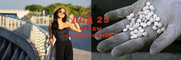 apvp Володарск